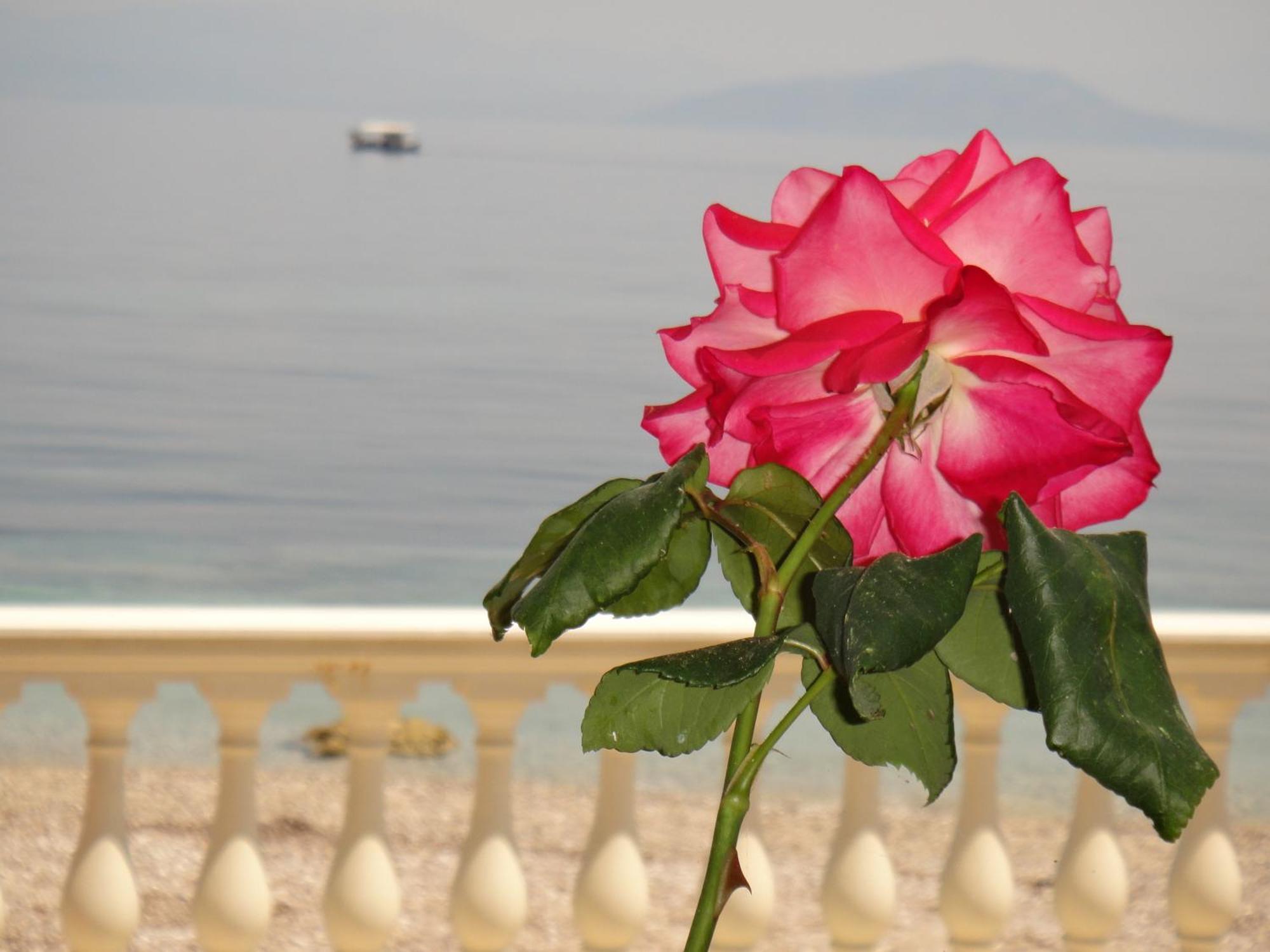 Apartments Corfu Sun Sea Side Benitses  Bagian luar foto