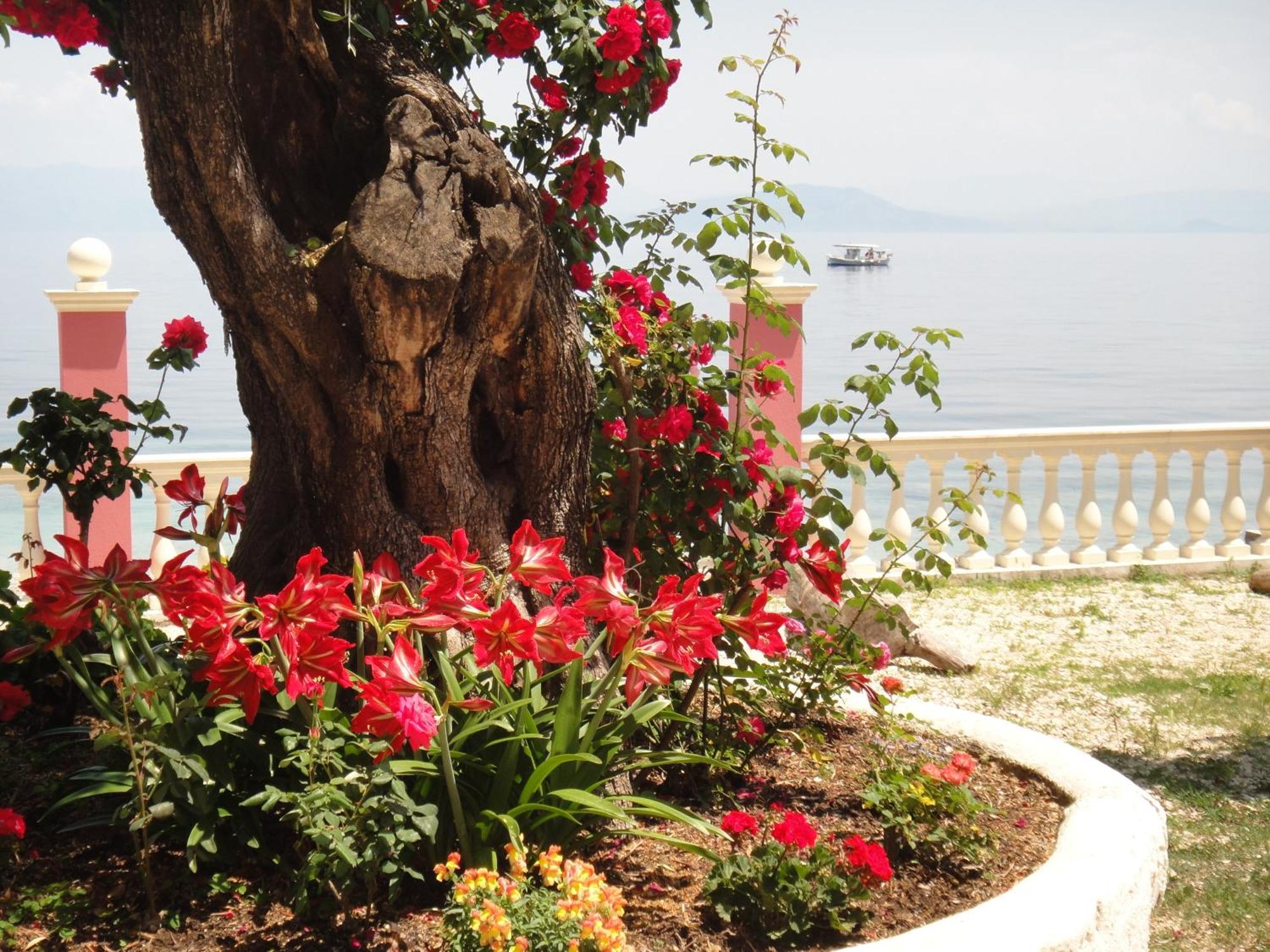 Apartments Corfu Sun Sea Side Benitses  Bagian luar foto